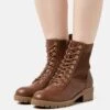 Winter Boot - Bottines À Lacets - Cognac -Anna Field 59b6f53e5bf5462ca2f0387d989a6f17